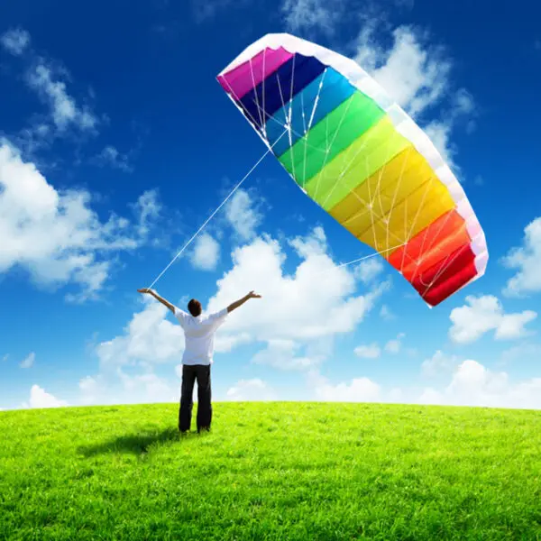 free shipping 2.5m Dual Line Stunt Sports soft Kites with control bar kitesurfing outdoor toys flying kiteboard factory koi new - Image 2