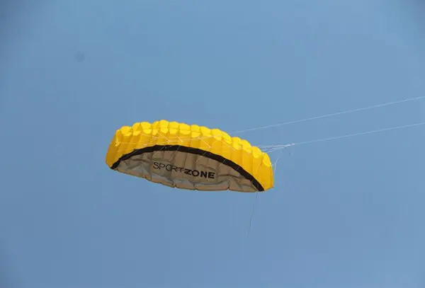 free shipping 2.5m Dual Line Stunt Sports soft Kites with control bar kitesurfing outdoor toys flying kiteboard factory koi new - Image 4