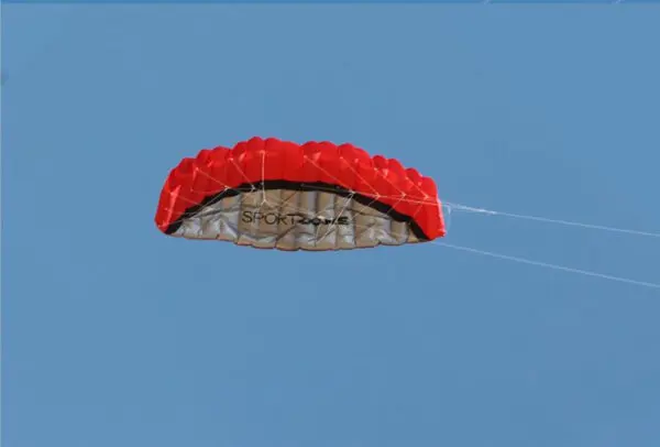 free shipping 2.5m Dual Line Stunt Sports soft Kites with control bar kitesurfing outdoor toys flying kiteboard factory koi new - Image 6