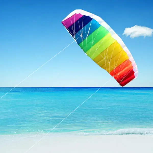 free shipping 2.5m Dual Line Stunt Sports soft Kites with control bar kitesurfing outdoor toys flying kiteboard factory koi new - Image 7