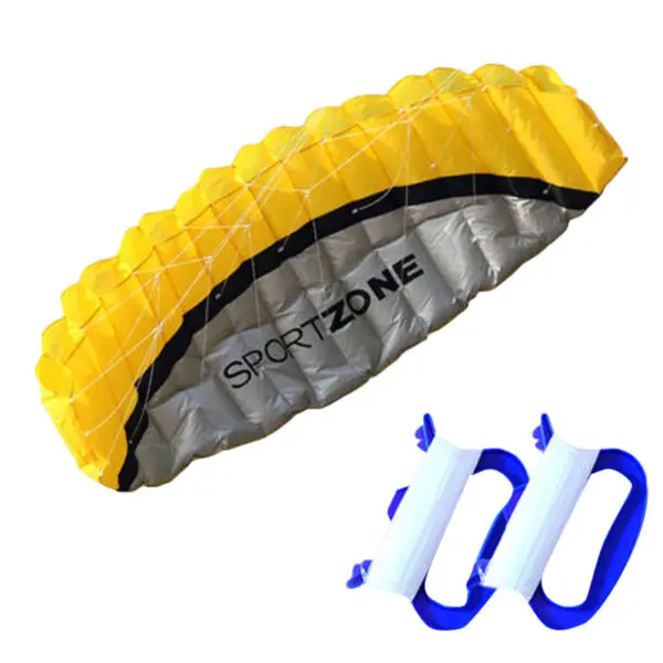 free shipping 2.5m Dual Line Stunt Sports soft Kites with control bar kitesurfing outdoor toys flying kiteboard factory koi new - Image 11