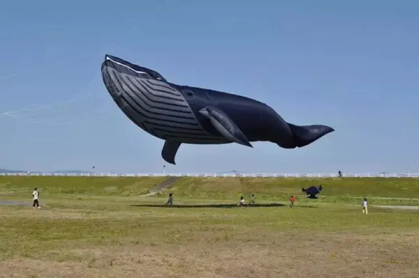 9m 17m 30m Blue whale kite pendant line laundry soft inflatable kite