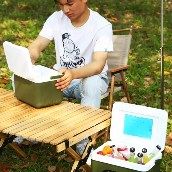 Car Refrigerator Incubator Cooler Box Household Car Heat Preservation Freezer Mini Fridge Picnic Ice Bucket For Auto Home Tools - Image 4