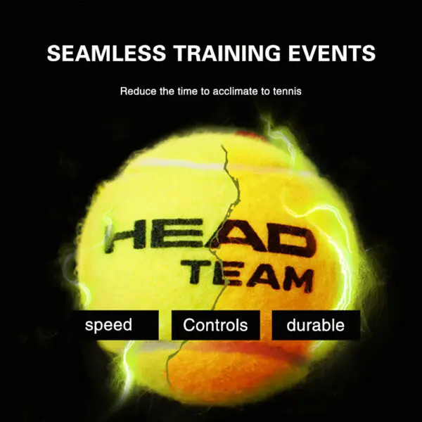 HEAD Professional Tennis 4B TEAM 3 Tour X Training Ball T 3B Pro Match Balls High Elasticity Resistant Durable Excesice Tennis - Image 4