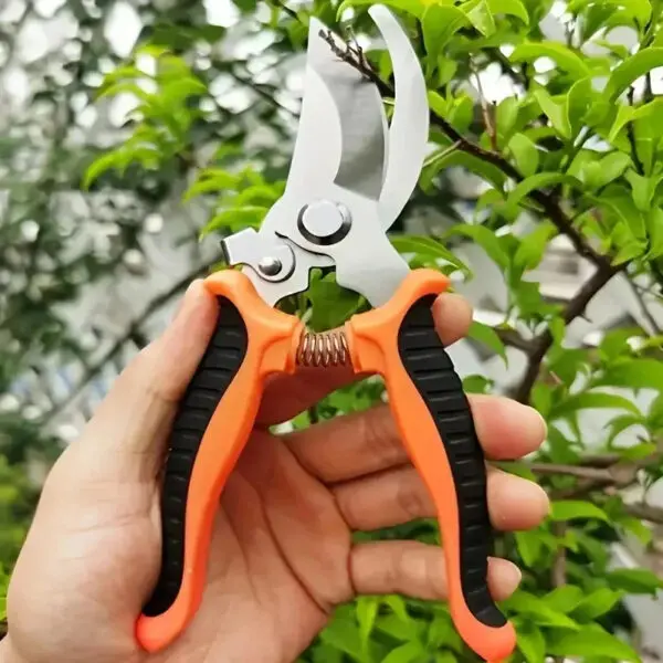 Pruner Garden Scissors Professional Sharp Bypass Pruning Shears Tree Trimmers Secateurs Hand Clippers For Garden Beak Scissors - Image 2