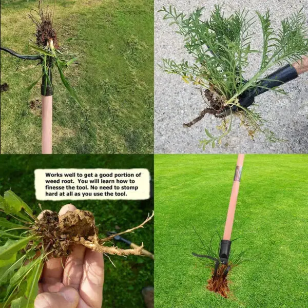 Stand Up Weed Puller Tool with Screw Holes Portable Weeding Head Replacement Gardening Digging Weeder Removal Accessory - Image 5