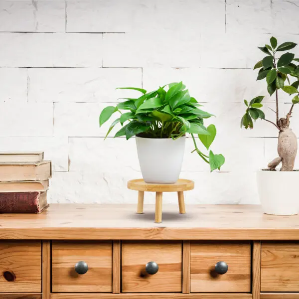 Holder Stand Pot Flower Wood Wooden Stool Rack Outdoor Indoor Display Smallflowerpot Gardening Table Shelf Potted Windowsill - Image 2