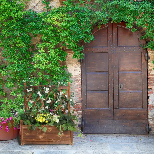 Raised Garden Bed with Trellis - Garden Box for Vine Climbing Plants Flower Free-Standing Raised Planter for Patio Garden Indoor - Image 2