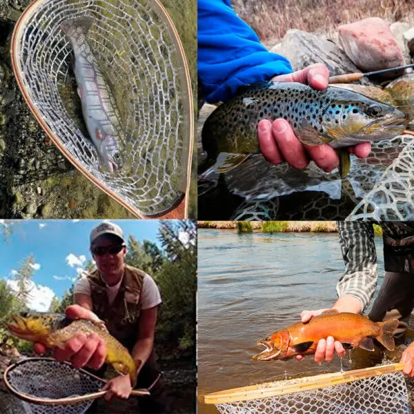 Landing Fish Net Fishing Hand Nets with Clear Rubber Mesh Netting Wooden Handle Fly Fishing Equipment for Catch and Release - Image 3