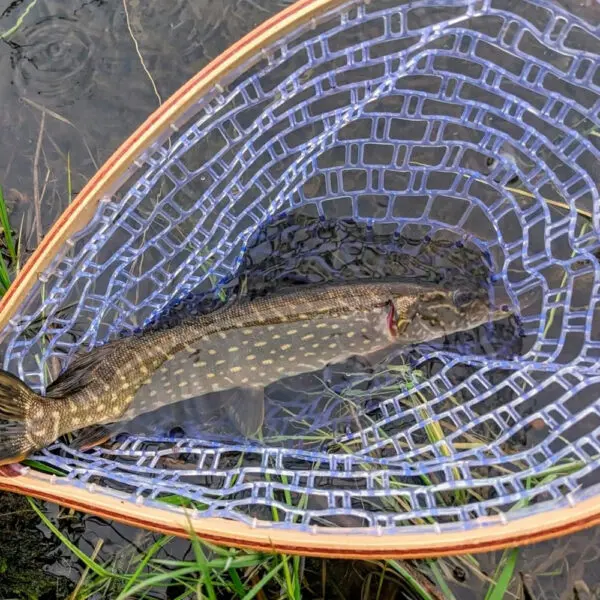 Landing Fish Net Fishing Hand Nets with Clear Rubber Mesh Netting Wooden Handle Fly Fishing Equipment for Catch and Release - Image 5